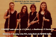 Grup de flautes "Boccherini" (d'esquerra a dreta): Mireia Gutiérrez, Paz Fandiño, Piluca Llobet i Isabel Serra